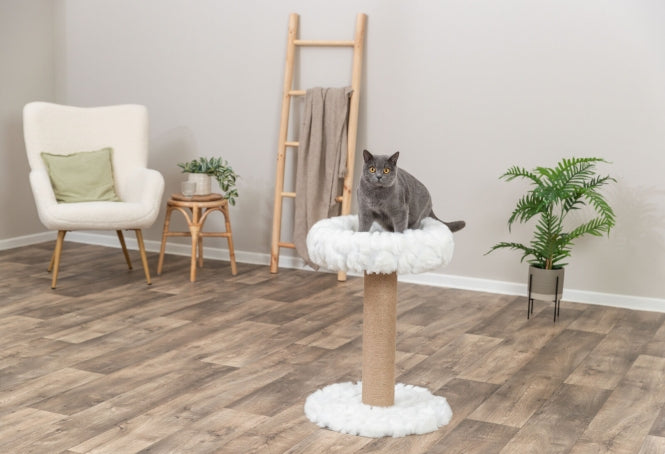 Kratzbaum für Katzen – Mirella – Bild 3