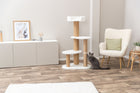 Kratzbaum für Katzen – Lonni – Bild 3