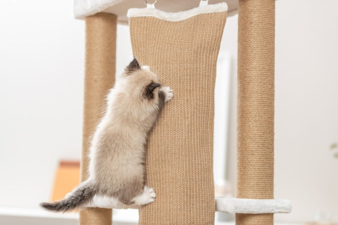 Kratzbaum für Katzen – Active – Bild 11