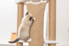 Kratzbaum für Katzen – Active – Bild 11