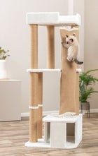 Kratzbaum für Katzen – Active – Bild 12