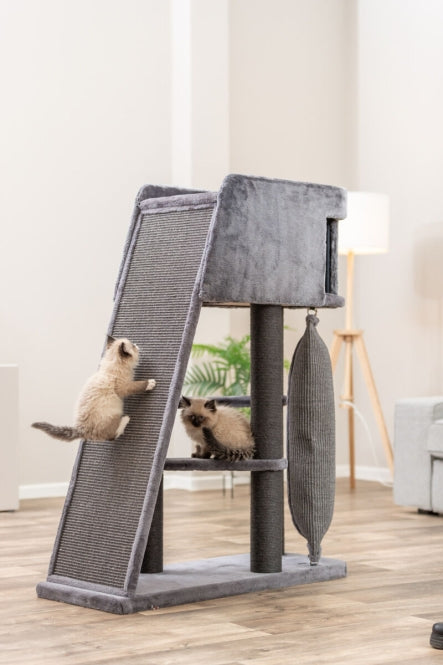 Kratzbaum für Katzen – Active – Bild 6