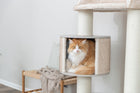 Kratzbaum für Katzen – XXL Kiara – Bild 4