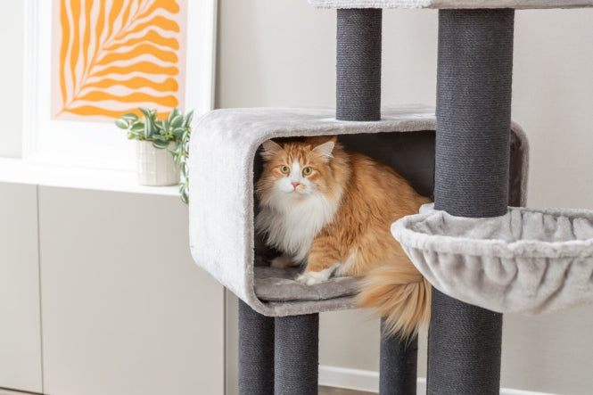 Kratzbaum für Katzen – XXL Rafael – Bild 4