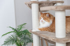Kratzbaum für Katzen – XXL Brunna – Bild 4