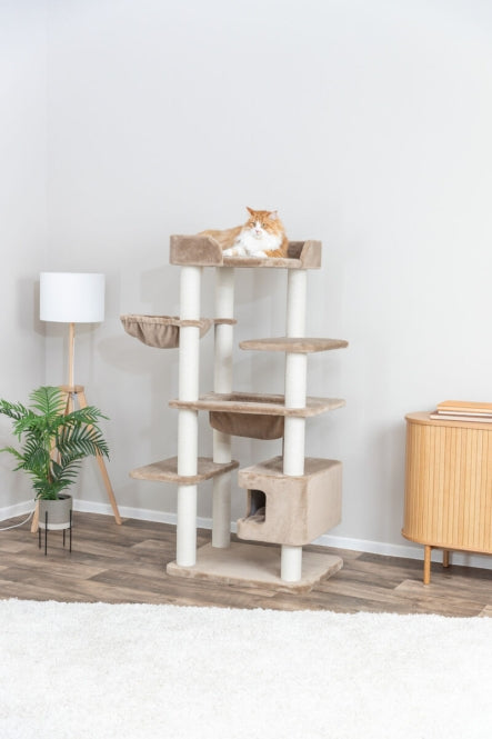Kratzbaum für Katzen – XXL Brunna – Bild 5