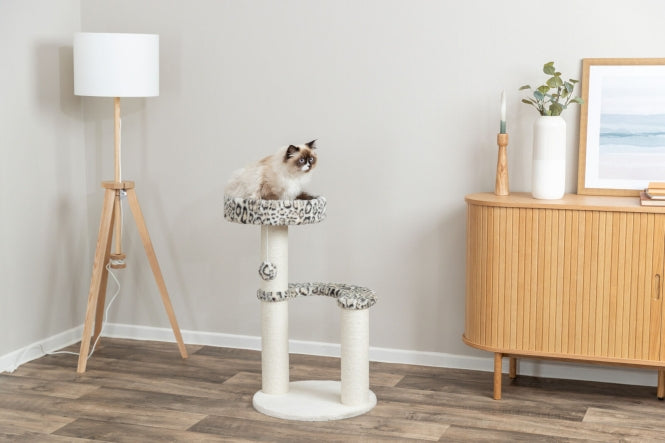 Kratzbaum für Katzen – Leo – Bild 3