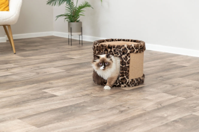 Kratzhöhle für Katzen – Leo – Bild 3