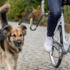 Fahrradhalter für Hunde – Biker-Set U-Form, M–XL