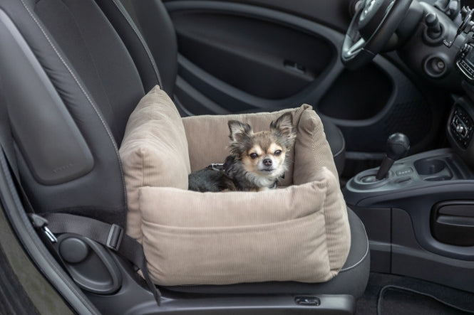 Autositz für Hunde –  – Bild 18