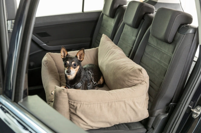 Autositz für Hunde – doppelt, taupe – Bild 6