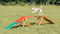 Agility Zubehör für Hunde Fun Steg | Trixie