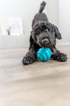 Hundeball – Super Strong – Bild 3