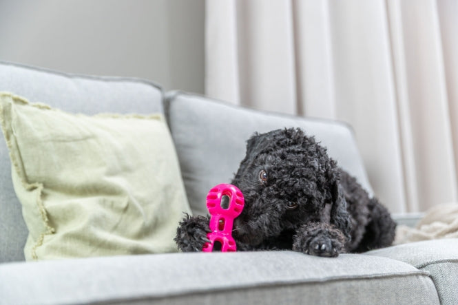 Wurfspielzeug für Hunde – Soft & Strong Hantel – Bild 3