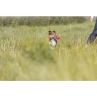 Hundeball – Soft & Strong am Gurt – Bild 3