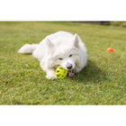 Wurfspielzeug für Hunde – Wabenrugby aus TPE, 11cm – Bild 2