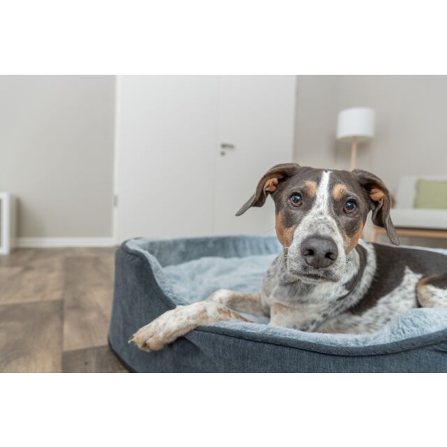 Hundebett – Vital Lino Soft, oval – Bild 4