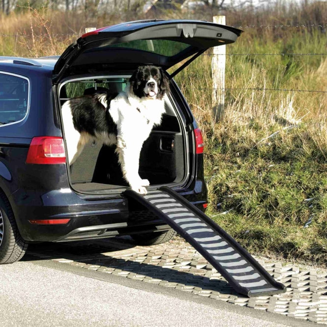 Klapp-Rampe für Hunde – aus Kunststoff/TPR – Bild 2