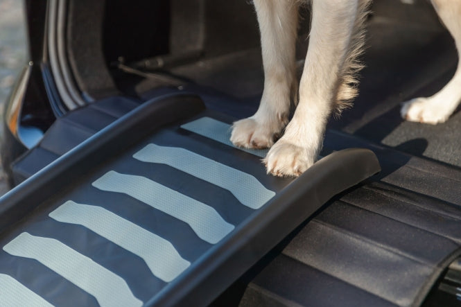 Klapp-Rampe für Hunde – aus Kunststoff/TPR – Bild 5