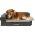 Hundesofa – Vital Bendson, 80 × 60 cm – Bild 6