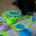 Intelligenzmatte für Hunde – 2 – Bild 5