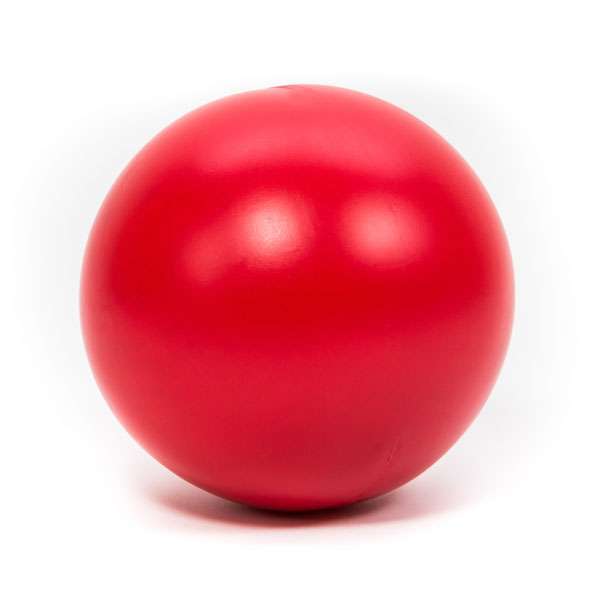 Treibball für Hunde –  – Bild 6
