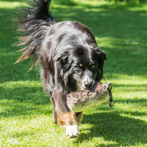 Felldummy für Hunde – 500 g – Bild 2