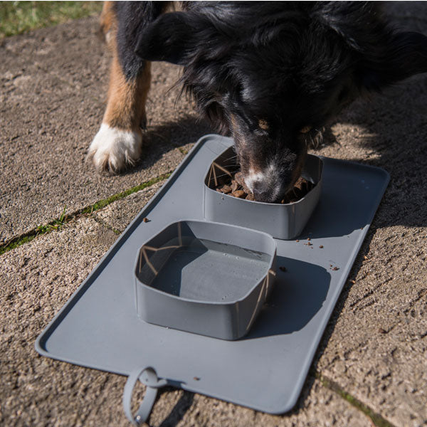 Silikon-Doppelnapf für Hunde – Rollbarer – Bild 4