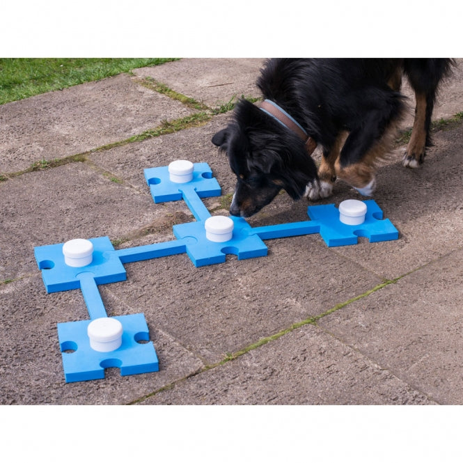 Hundetraining Zubehör – Schnüffelspaß, blau