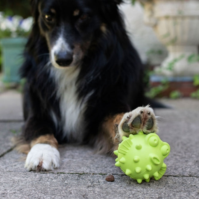 Snackball für Hunde – TPR Fisch – Bild 3