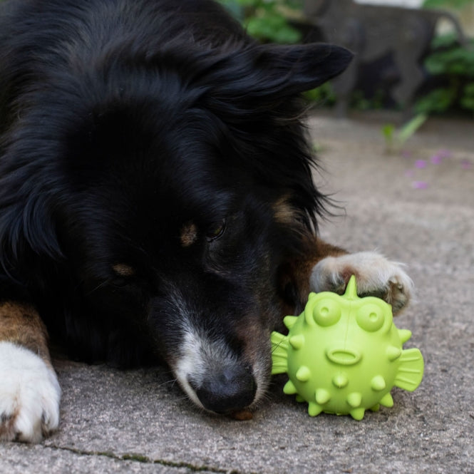 Snackball für Hunde – TPR Fisch