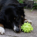 Snackball für Hunde TPR Fisch | PROCYON
