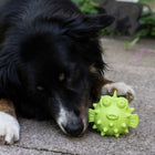 Snackball für Hunde – TPR Fisch