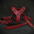 EROS Big Dog Set Rot – Geschirr, Halsband, Leine