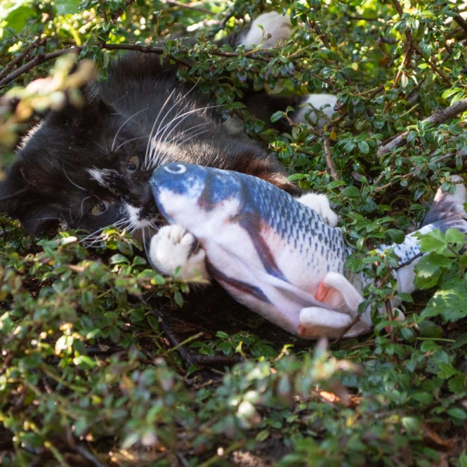 Beschäftigungsspielzeug für Katzen – Robocat Forelle, 30 cm – Bild 5