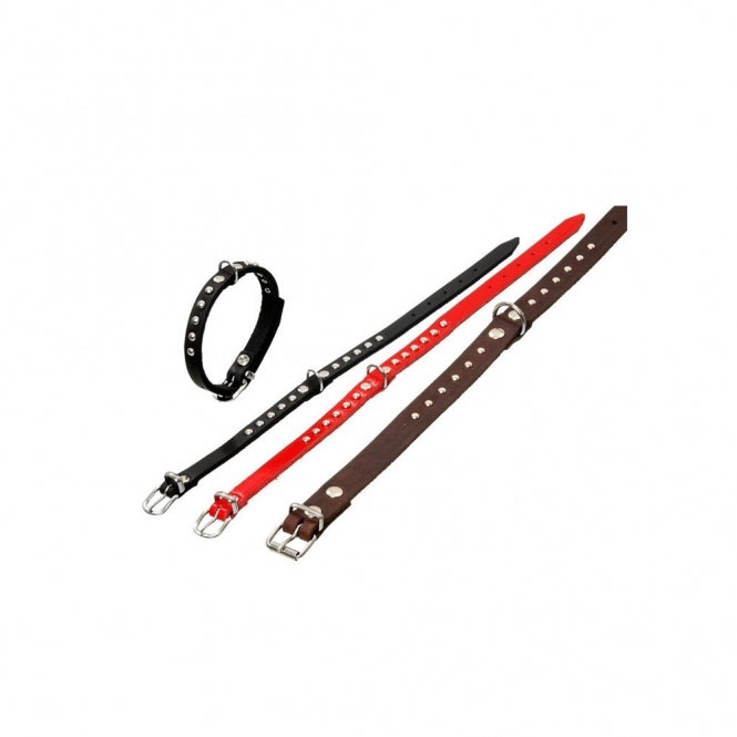Hundehalsband – RONDO mit Ziernieten – Bild 3