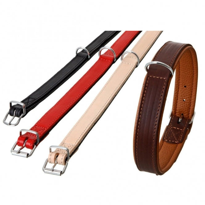 Hundehalsband – Rondo unterlegt – Bild 2