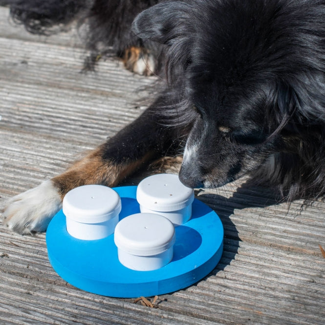 Schnüffel-Ring für Hunde –  – Bild 2