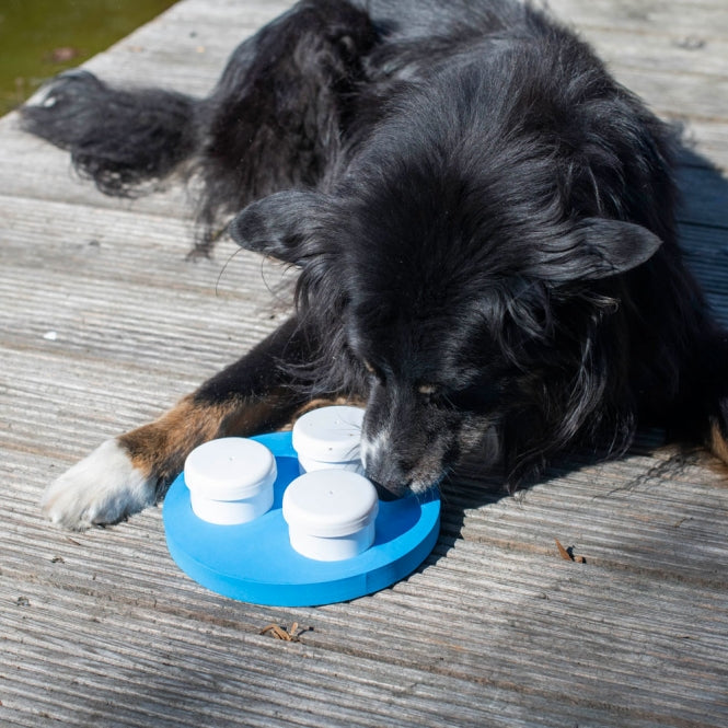 Schnüffel-Ring für Hunde –  – Bild 3