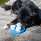 Schnüffel-Ring für Hunde –  – Bild 3