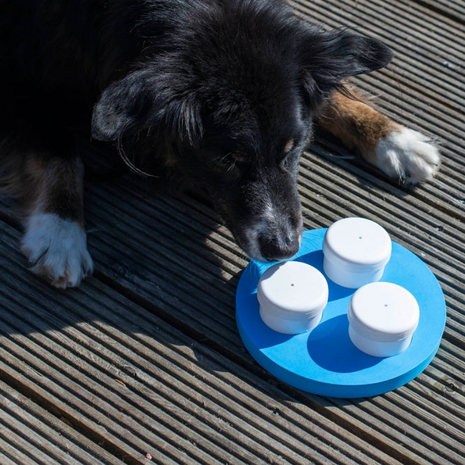 Schnüffel-Ring für Hunde –  – Bild 4