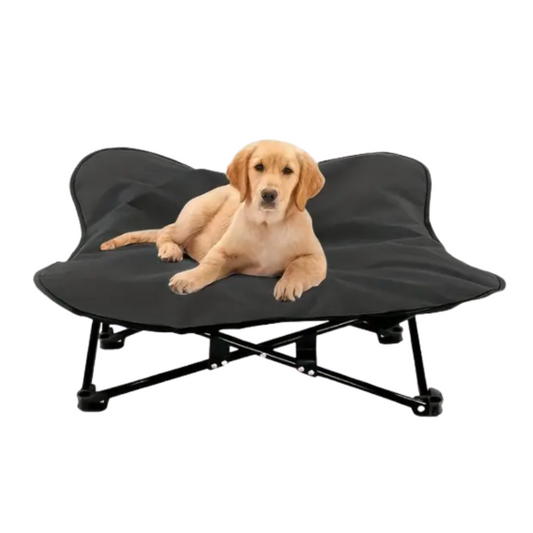 Erhöhtes, faltbares Hundebett