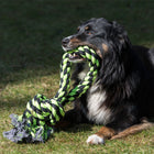 XXL-Kauseil für Hunde –  – Bild 3