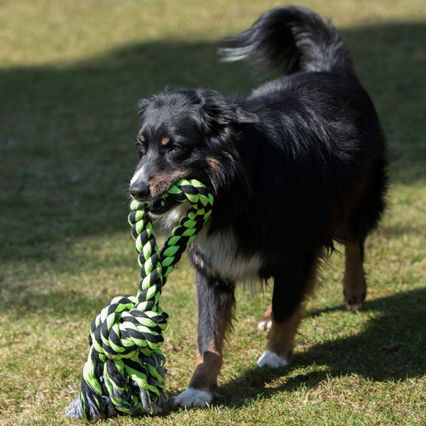 XXL-Kauseil für Hunde –  – Bild 4