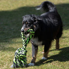 XXL-Kauseil für Hunde –  – Bild 4