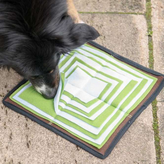 Intelligenzspielzeug für Hunde – Schnüffelpyramide – Bild 2
