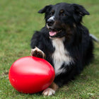Hundetraining Zubehör – Spielei / Treibei – Bild 3