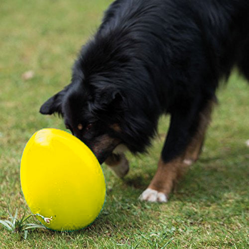 Hundetraining Zubehör – Spielei / Treibei – Bild 5