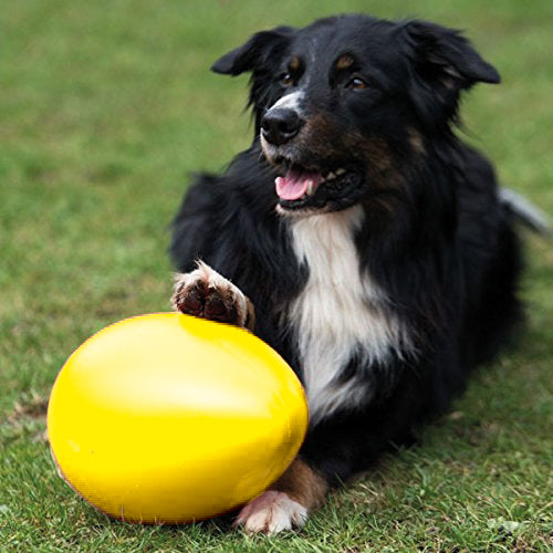 Hundetraining Zubehör – Spielei / Treibei – Bild 6