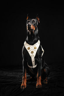 The "Maximus" harness White